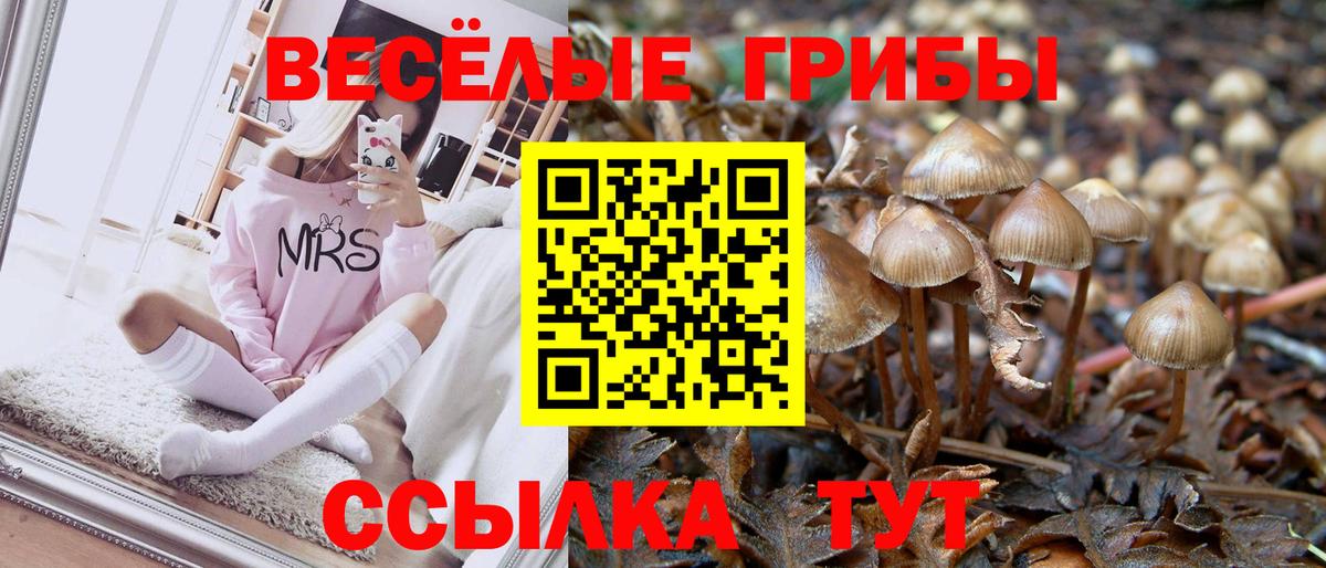 Галлюциногенные грибы мицелий Лянтор