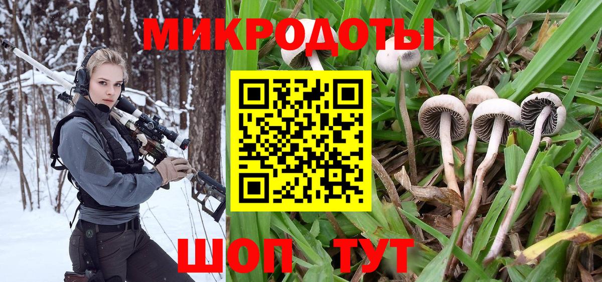 Галлюциногенные грибы Psilocybine cubensis  Вход с VPN  наркота  Лянтор 